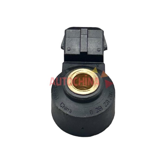www.autochina.com.tr