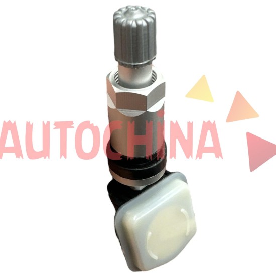 www.autochina.com.tr