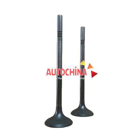 www.autochina.com.tr