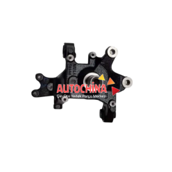 MG HS ARKA TAŞIYICI SAĞ 10187242